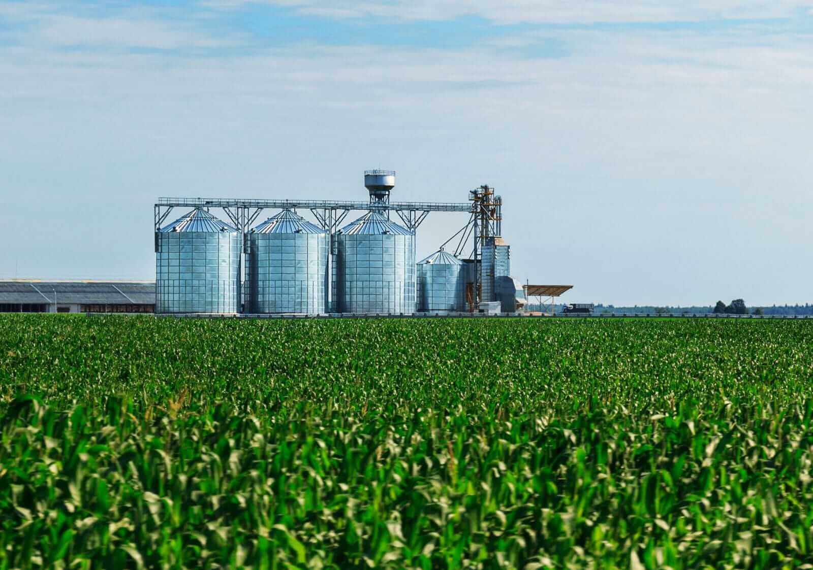 Grain News and Commentary